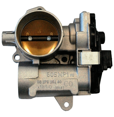 Throttle Body (7519107)