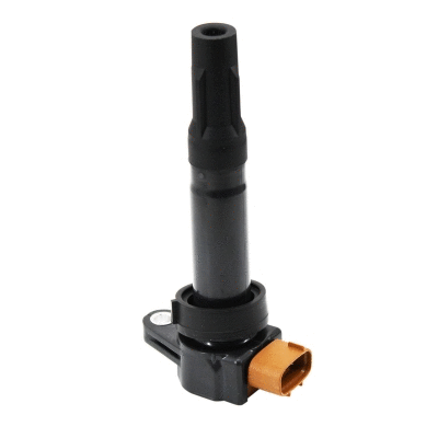 Ignition Coil (8010827)