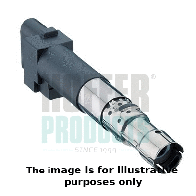 Ignition Coil (8010485E)