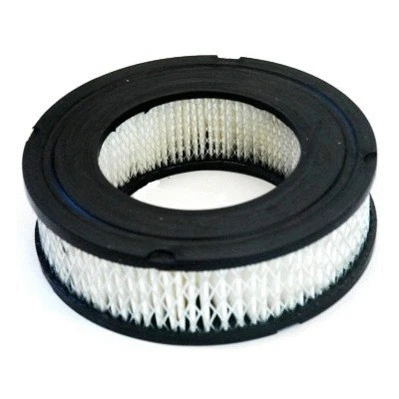 Air Filter (16191)