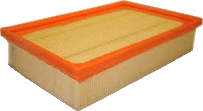 Air Filter (18316)