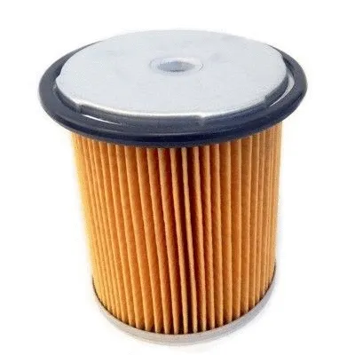 Fuel Filter (4248)
