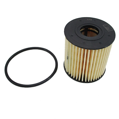 Oil Filter (14084G)