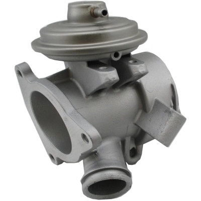 EGR Valve (7518403)