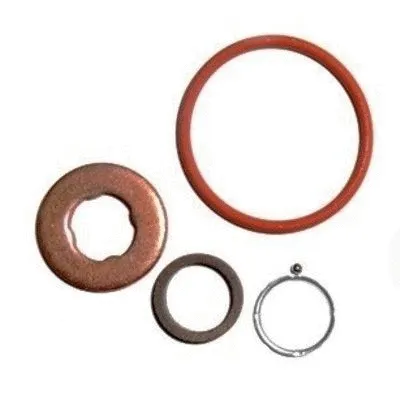 Repair Kit, injection nozzle (9565)