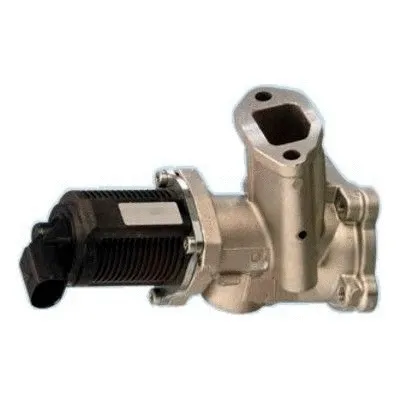 EGR Valve (7518092R)