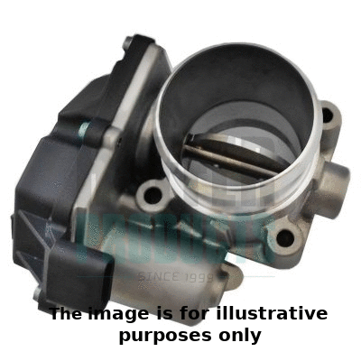 Throttle Body (7519318R)