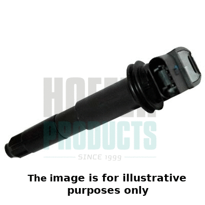 Ignition Coil (8010698E)