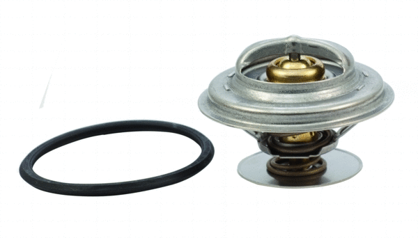 Thermostat, coolant (8192753)