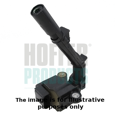 Ignition Coil (8010816E)