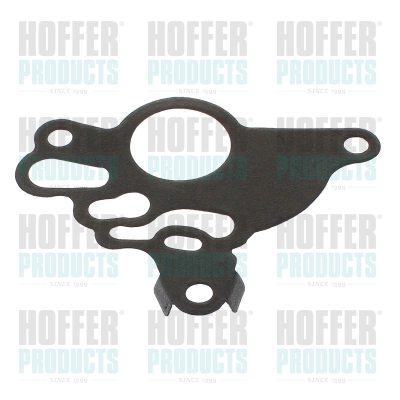 Gasket, vacuum pump (91256)