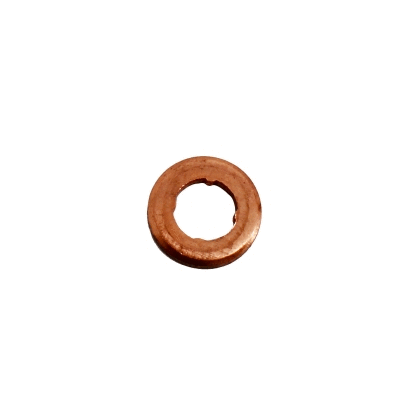 Seal Ring, nozzle holder (80298124)