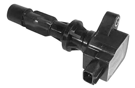 Ignition Coil (8010575)
