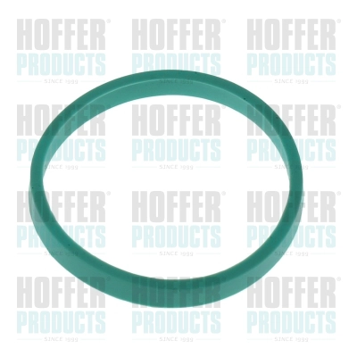 Gasket, intake manifold (016166)
