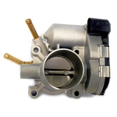 Throttle Body (7519242)