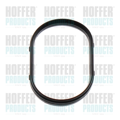 Gasket, intake manifold (016179)