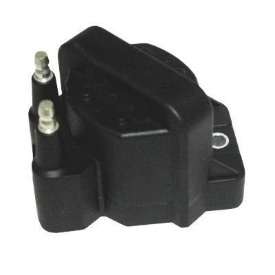 Ignition Coil (8010724)