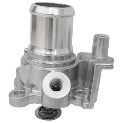 Thermostat, coolant (8192679)