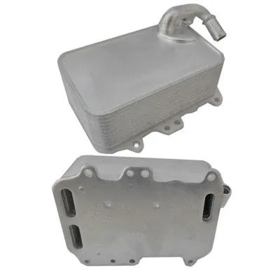 Oil Cooler, engine oil (8095125)