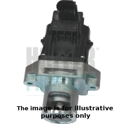 EGR Valve (7518103E)