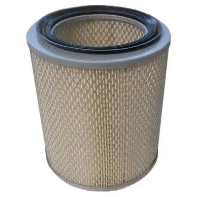 Air Filter (18146)