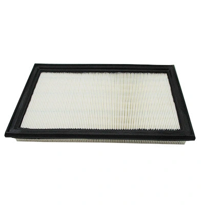 Air Filter (18466)