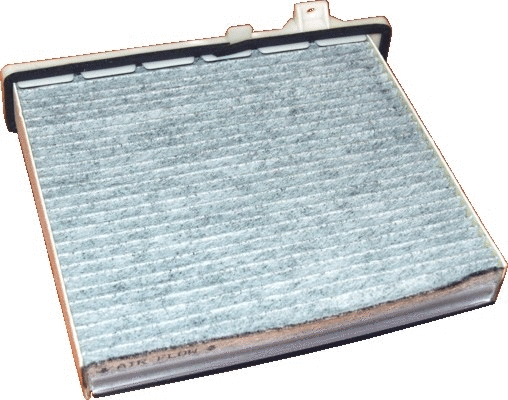 Filter, cabin air (17138FKM)