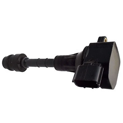 Ignition Coil (8010723)
