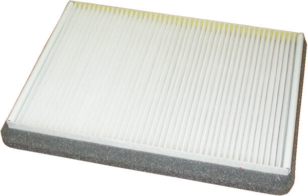 Filter, cabin air (17002)