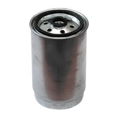 Fuel Filter (4919)
