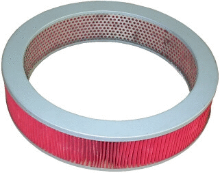Air Filter (18017)