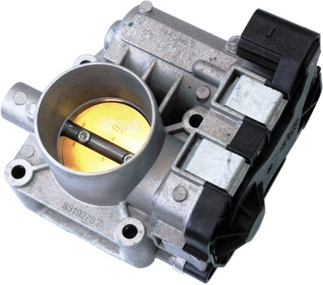 Throttle Body (7519067)