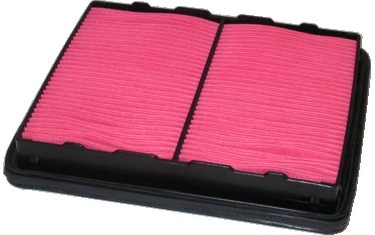 Air Filter (16030)