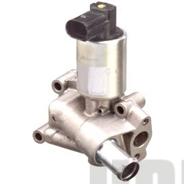 EGR Valve (7518090E)