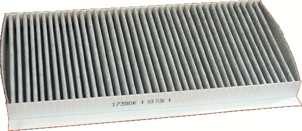 Filter, cabin air (17390K)