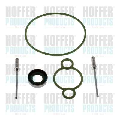 Repair Kit, common rail system (98777)