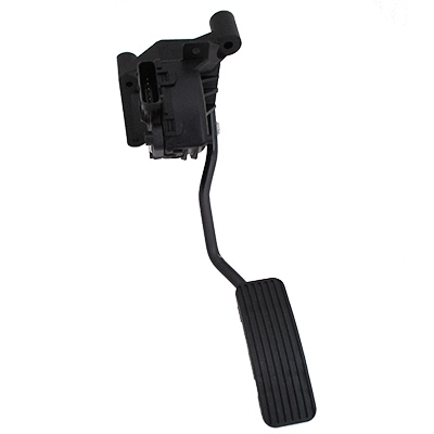 Accelerator Pedal Unit (7513702)