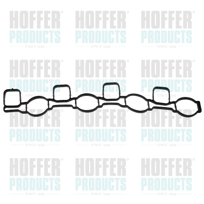 Gasket, intake manifold (016149)