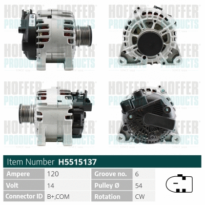 Alternator (H5515137G)