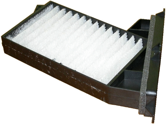 Filter, cabin air (17053F)