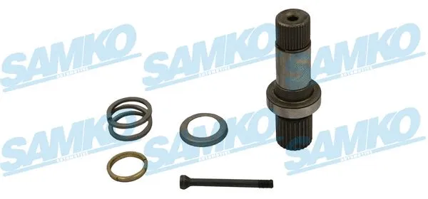 Drive Shaft (DS61196)