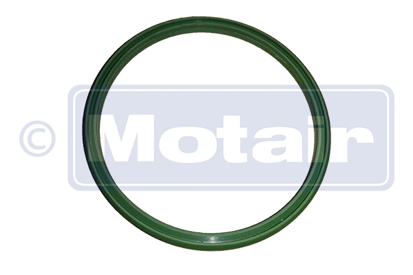 Charge Air Hose (580811)