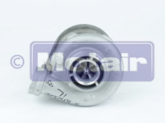 Charger, charging (supercharged/turbocharged) (335810)