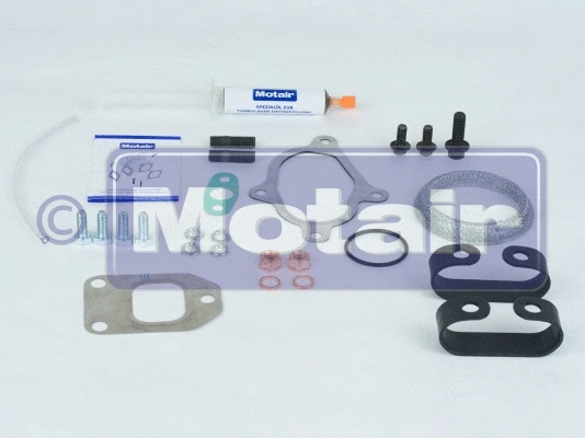 Charger, charging (supercharged/turbocharged) (600032)