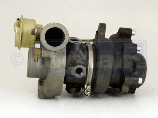 Charger, charging (supercharged/turbocharged)