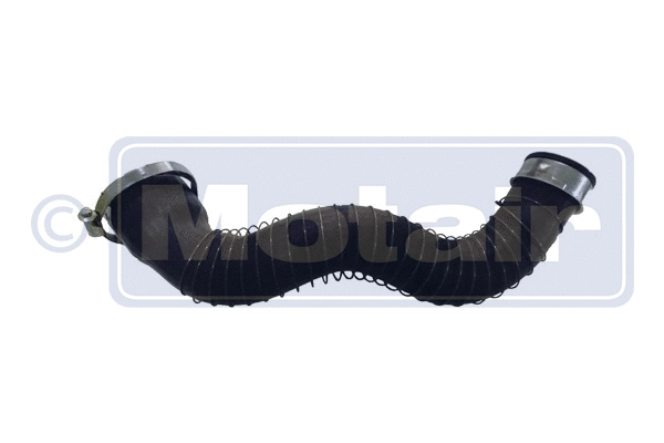 Charge Air Hose (580658)