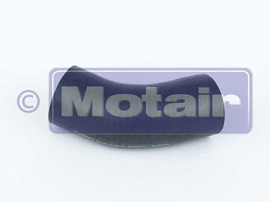 Charge Air Hose (580138)