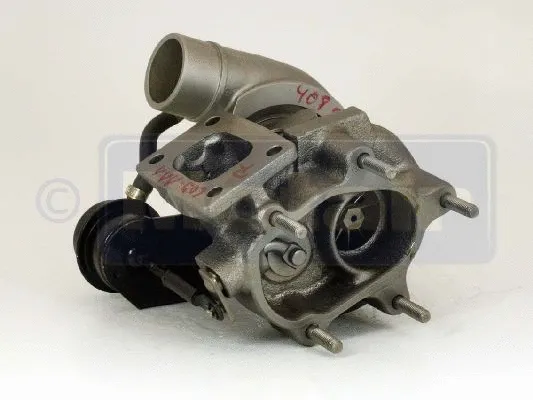 Charger, charging (supercharged/turbocharged)