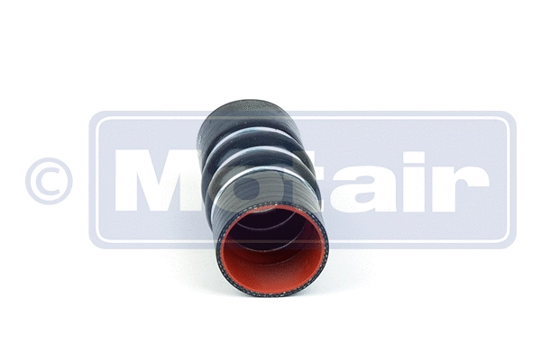 Charge Air Hose (580352)