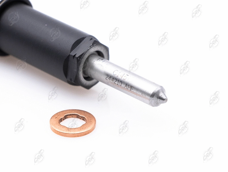Nozzle and Holder Assembly